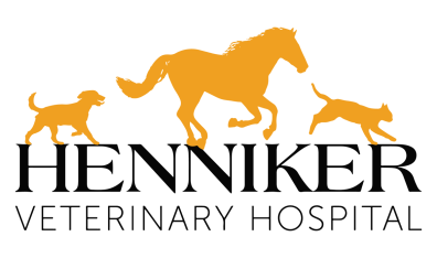 Henniker Veterinary Hospital-HeaderLogo